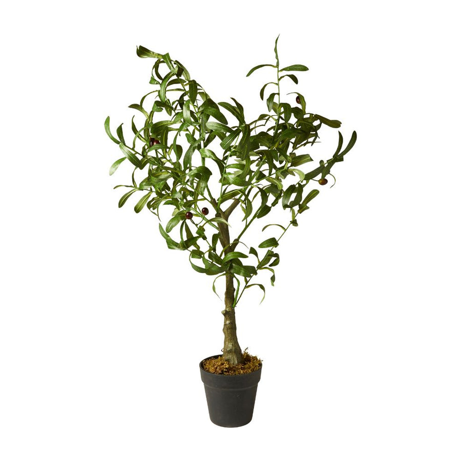 Blomster